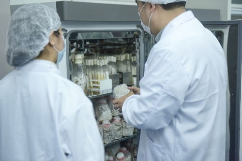 从吸脂兽到金菇露,长青品派坚持科技创新为企业根本