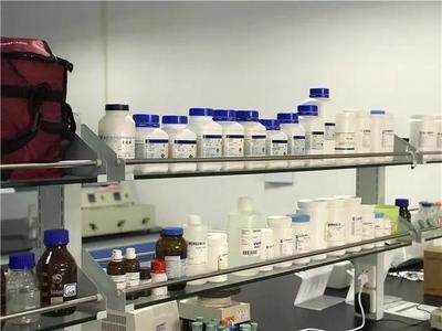 潜心磨砺 蓄势待发 丨对话常州百代生物科技总经理夏国庆