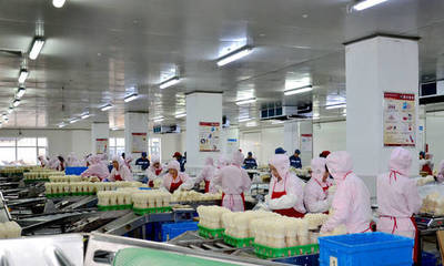 长春高榕生物科技:深耕食用菌产业 用科技还原生态之美