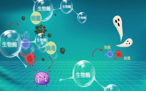 消杀抑菌净化难两全 福赛生物用生物科技和ai技术让理想变为现实