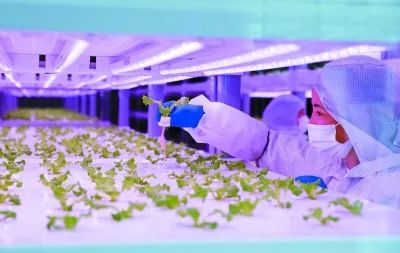 中科三安 京东等国内20家植物工厂大盘点