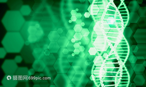 DNA分子高科技DNA分子的生物化学背景