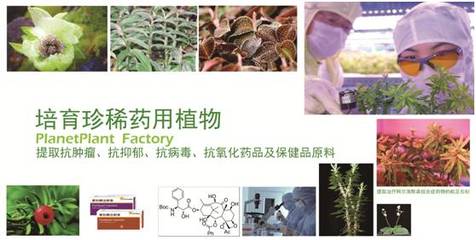 【招聘】中科生物招聘进行时!再不来好工作都让人抢走啦~