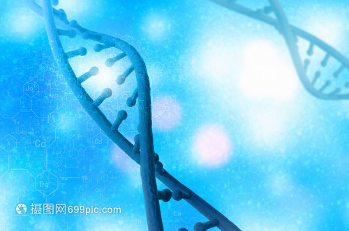 DNA分子高科技DNA分子的生物化学背景