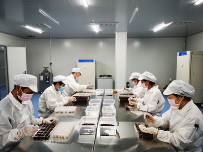 “四虫一剂”引领科技创新全面塑造发展新优势