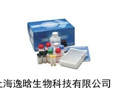 人沙眼衣原体(CT)ELISA试剂盒_供应产品_上海逸晗生物科技