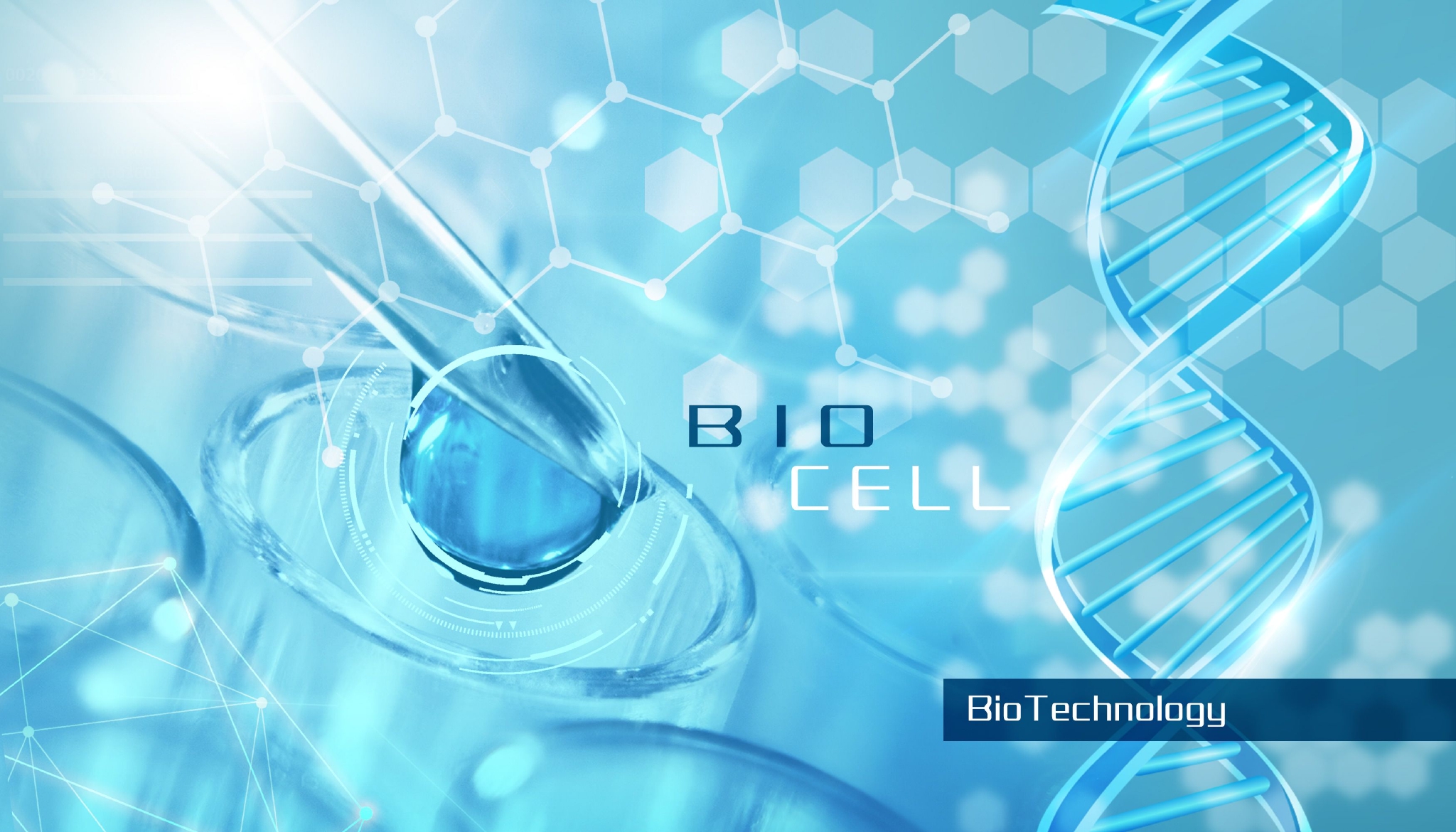 氨基酸“大户”首发中报 梅花生物高增长态势能否延续?