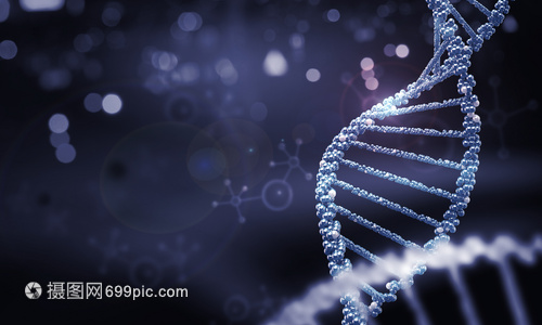 DNA分子高科技DNA分子的生物化学背景
