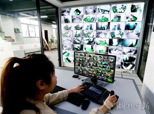 5g技术制造生物产品