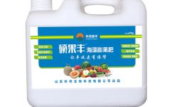 海藻肥,洋葱海藻肥,药材海藻肥,海藻肥批发,山东科邦