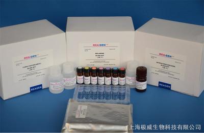 人碱性成纤维细胞生长因子9(bFGF-9)elisa试剂盒_上海极威生物科技_耗材产品_阿仪网