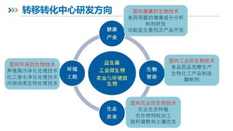 直通车路演项目 全链条生物技术开发科技服务平台项目