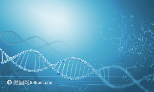 DNA分子高科技DNA分子的生物化学背景