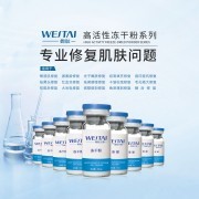 企业介绍