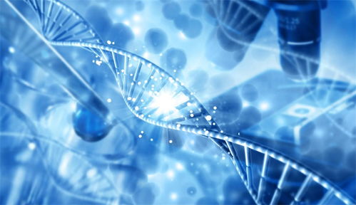 合成生物技术单点突破 推动透明质酸成本从几万元降至几百元每公斤