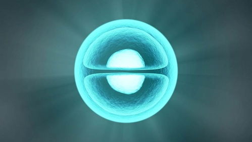 it化合成生物学平台小熊猫生物完成数千万元天使轮融资