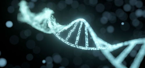 毕马威首发生物科技创新50企业榜单 生物科技赛道角逐升级 沪 杭 京 深位列前四