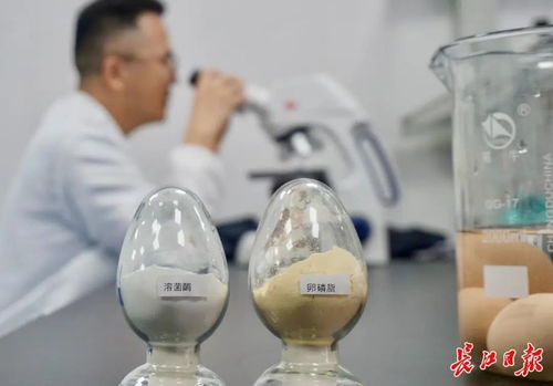这家企业让鸡蛋身价提升千倍