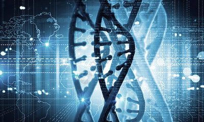 DNA分子高科技DNA分子的生物化学背景