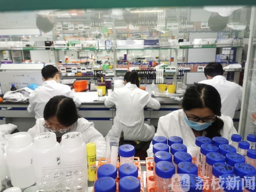 众志成城 南农人投身一线用科技 战 疫