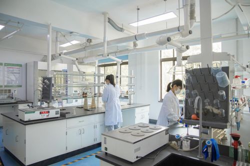 圣泰生物科技 传承茶文化,创新富硒茶健康生活
