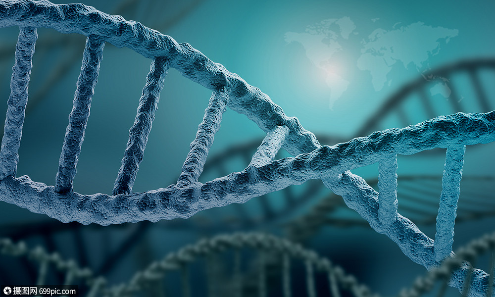 dna分子高科技dna分子的生物化学背景dna原子