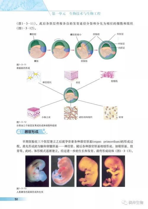 沪科版高中生物选修三 现代生物科技专题 电子课本 pdf版免费下载