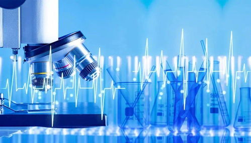 生物科技如何重塑全球玉米加工业格局