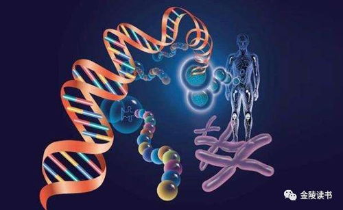 基因编辑 生物科技改写人类未来的双刃剑
