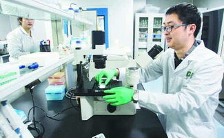 大庆高新区生物科技产业园 引领区域产业转型升级新引擎