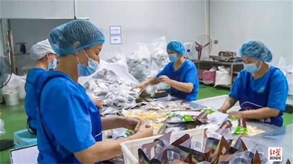 成都金堂精准施策“拼经济” 476家企业全力以“复”发展生物科技