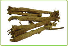 上海沐川生物科技 植物提取物产品概览与创新应用