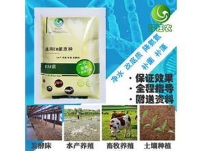 河南好旺农生物科技 高效降低养虾池塘氨氮含量的综合方案